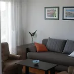 Apartment With Wifi - 13830